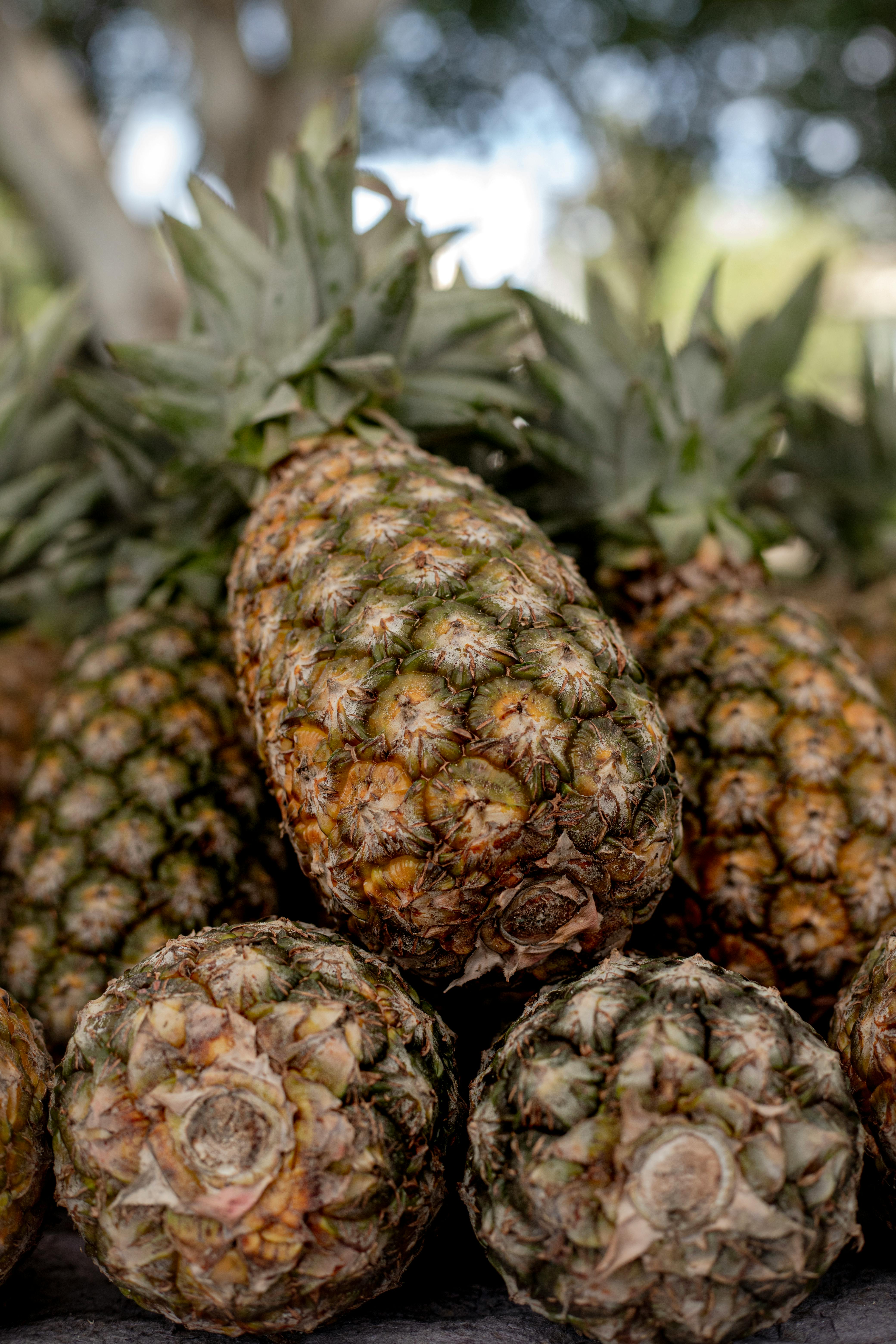 Best 5 Options for Harnessing Pineapple Benefits in Men's Health