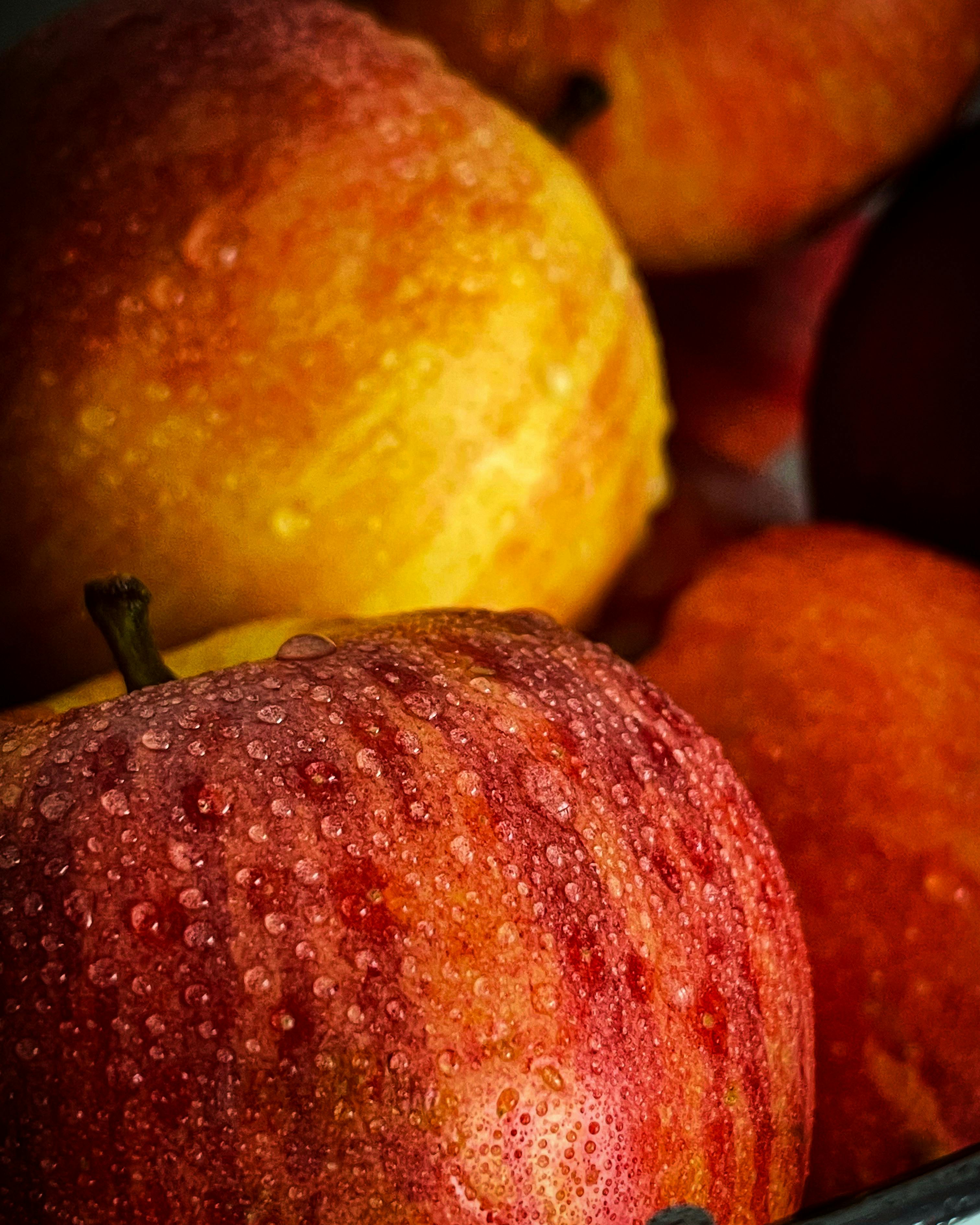 Best 10 Smart Weight Watchers Choices for a Healthy 2025